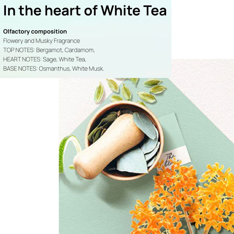 Solinotes White Tea Shower Gel Liter image number 2