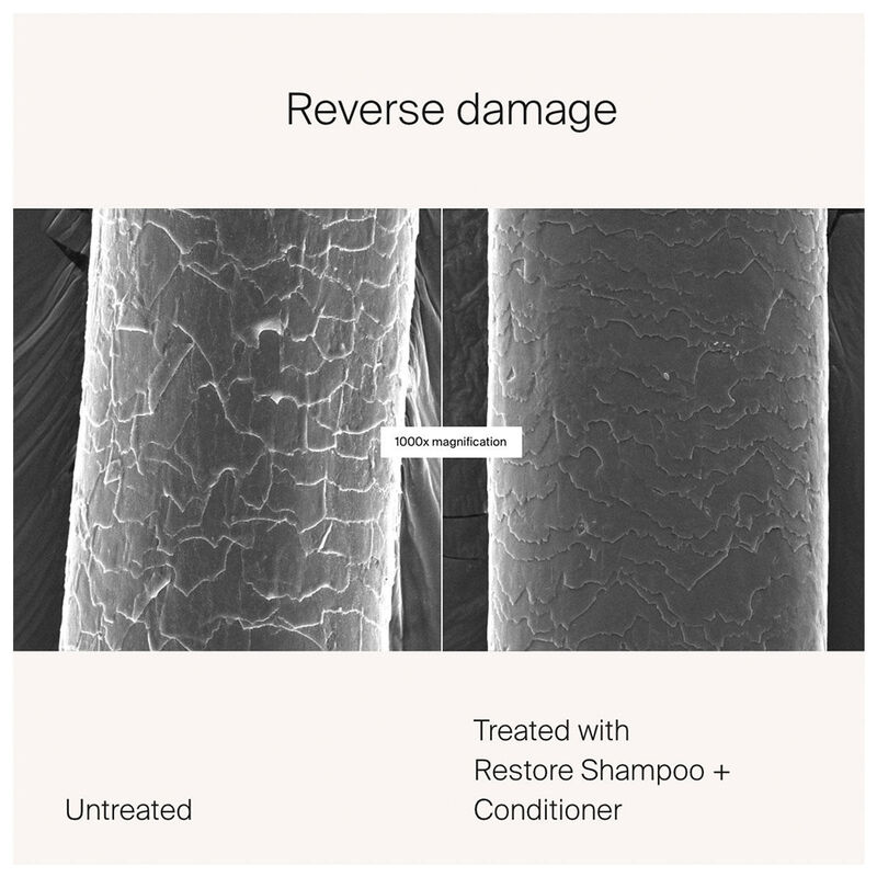 Living Proof Restore Shampoo image number 4