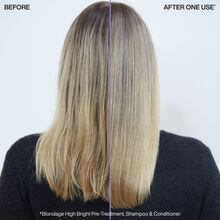 Redken Blondage High Bright Treatment