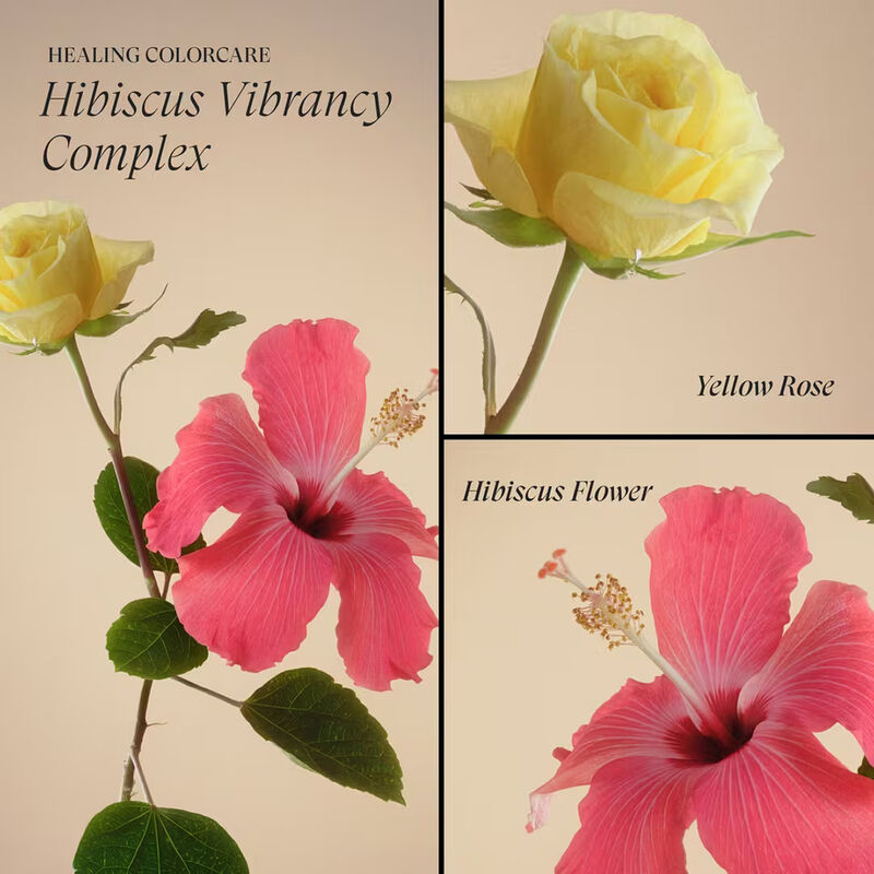 LANZA Healing ColorCare Color-Preserving Shampoo image number 3