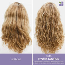 Biolage Hydra Source Detangling Solution