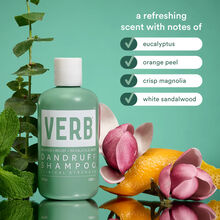 Verb Dandruff Shampoo