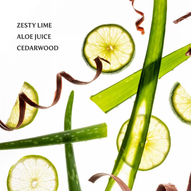 Touchland Power Mist Hydrating Hand Sanitizer - Aloe You image number 4