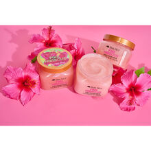 Tree Hut Pink Hibiscus Shea Sugar Scrub