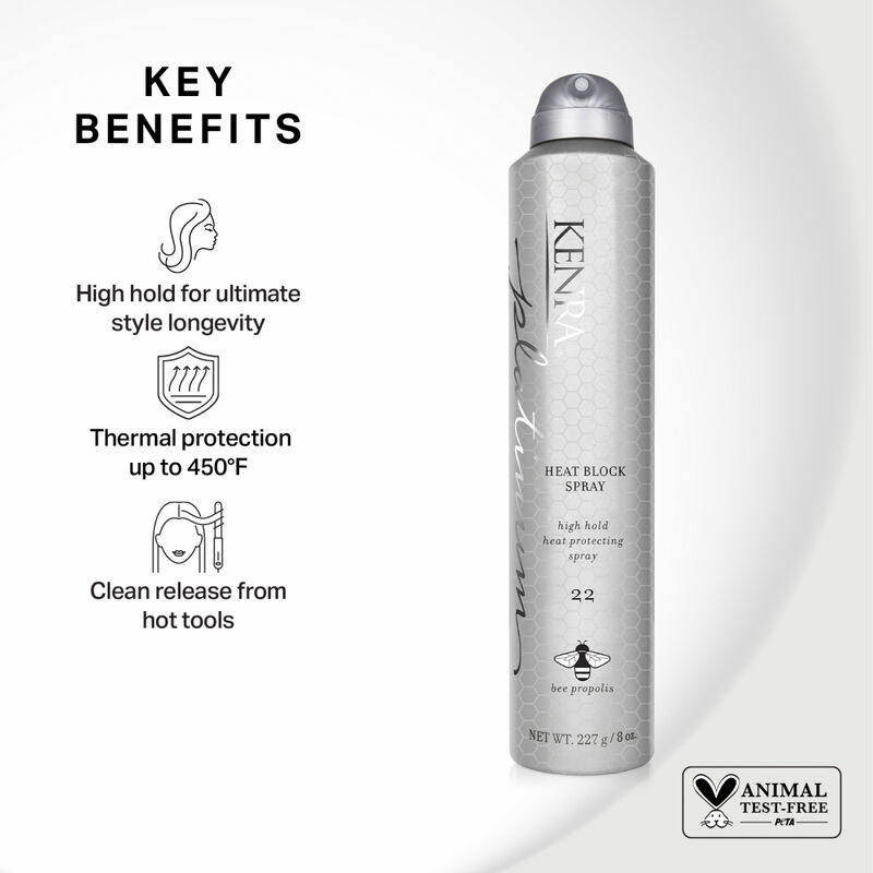Kenra Platinum Heat Block Spray 22 image number 2