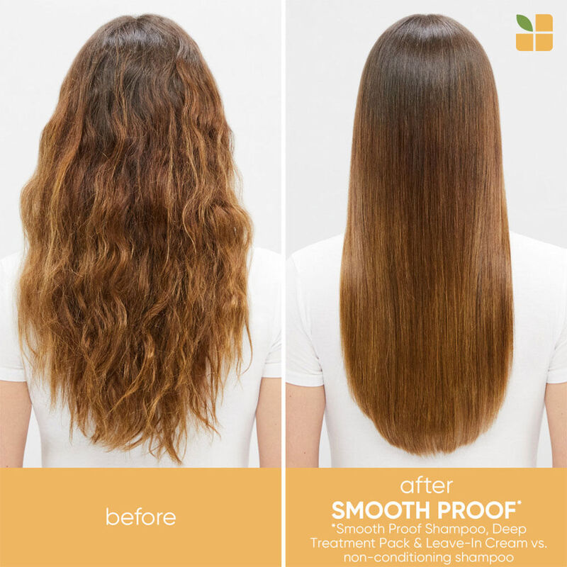 Biolage Smooth Proof Deep Treatment Pack Hair Mask for Frizzy Hair image number 1