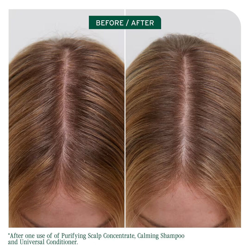 Biolage Scalp Sync Purifying Concentrate image number 1