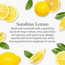 Beekman 1802 Sunshine Lemon Hand Cream & Lip Balm Set
