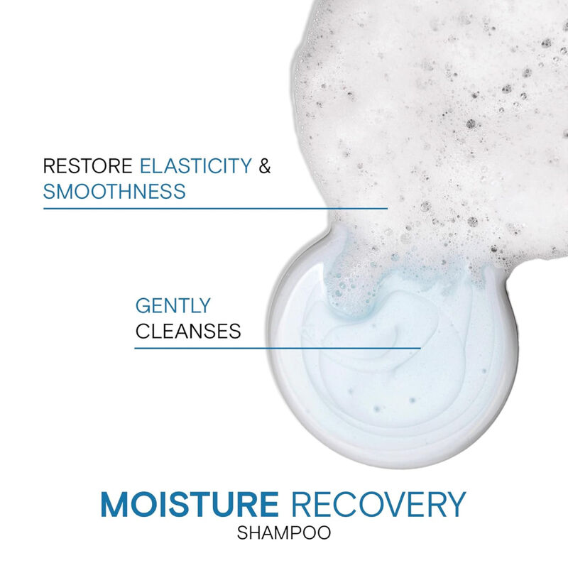 Joico Moisture Recovery Moisturizing Shampoo image number 4