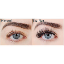 FlutterHabit The Flirt 6-Pack