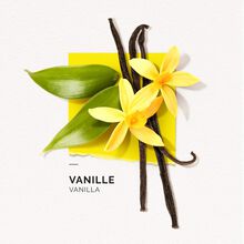Solinotes Vanilla Shower Gel