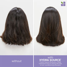 Biolage Hydra Foaming Styler
