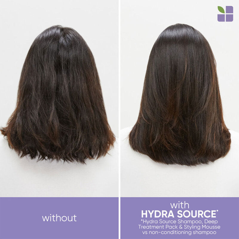 Biolage Hydra Foaming Styler image number 1