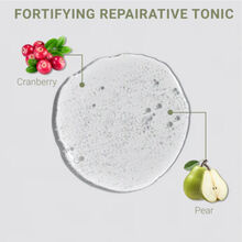 LOMA Fortifying Repair Tonic