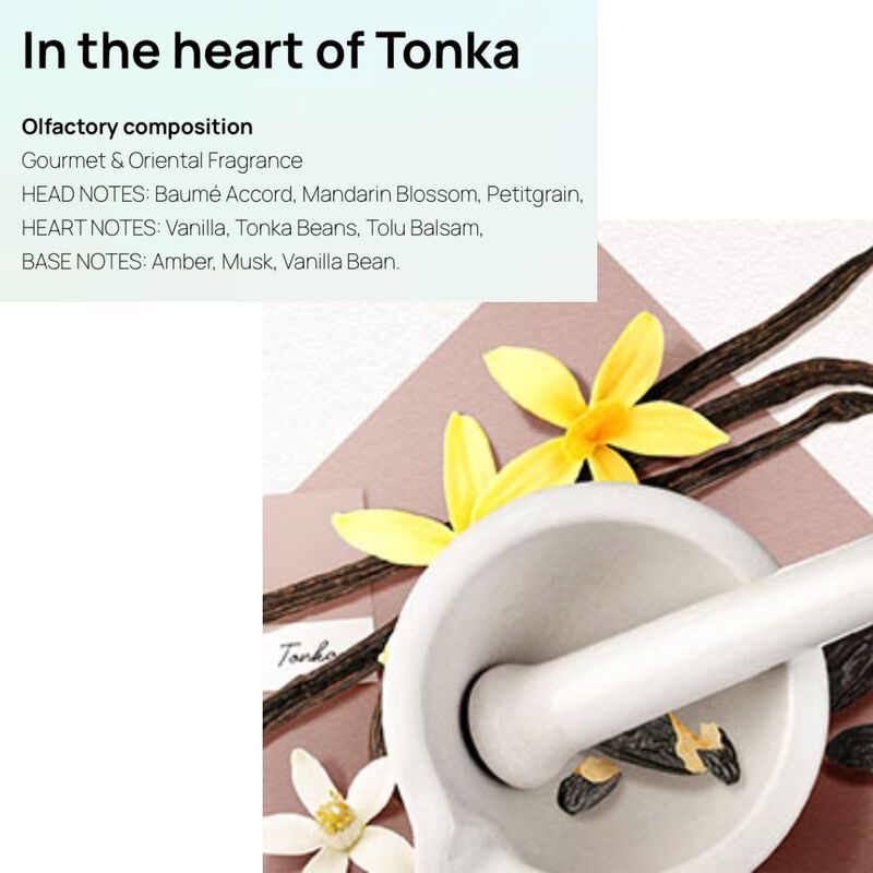Solinotes Tonka Shower Gel image number 2