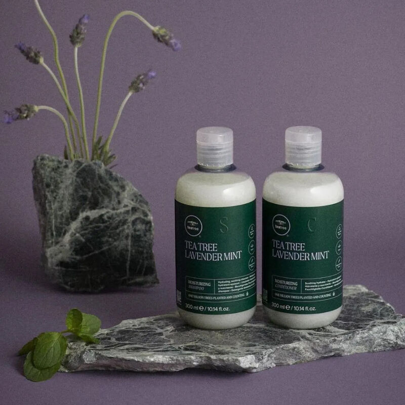 Paul Mitchell Tea Tree Lavender Mint Moisturizing Conditioner image number 2