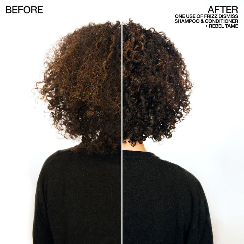 Redken Frizz Dismiss Rebel Tame Heat Protective Leave-In Cream image number 1