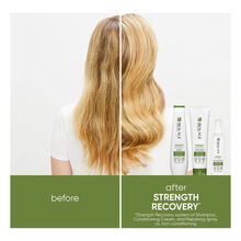 Biolage Strength Recovery Strength Repairing Spray