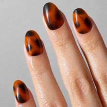Paintlab Toffee Tortoise Instant Stick Mani