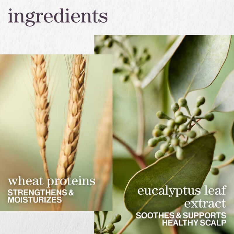 Pureology Hydrate Sheer Condition image number 3
