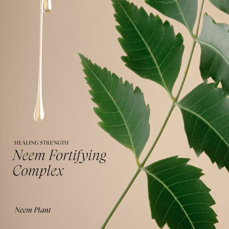 LANZA Healing Strength Neem Plant Detangling Primer image number 2