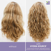 Biolage Hydra Source Conditioning Balm