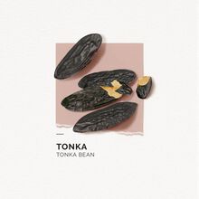 Solinotes Tonka Shower Gel