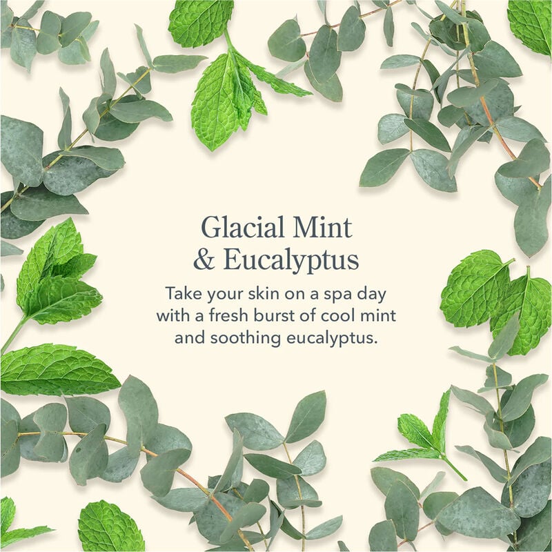 Beekman 1802 Glacial Mint & Eucalyptus Lip Balm image number 4