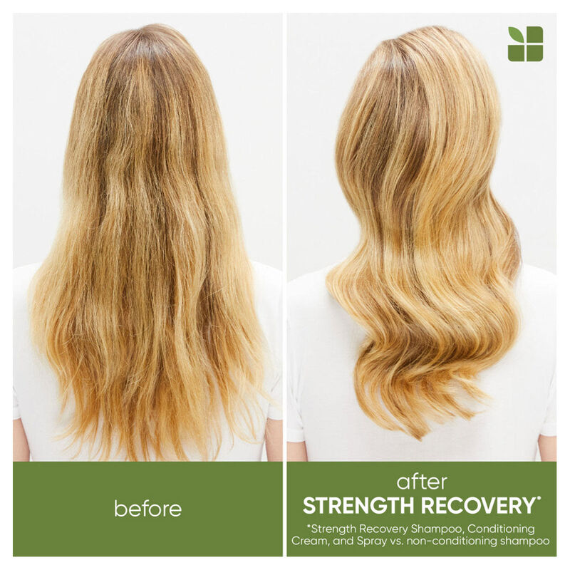 Biolage Strength Recovery Shampoo image number 2