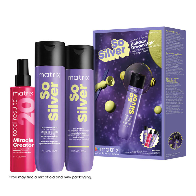 Matrix So Silver Holiday Dream Hair Fantasy Kit image number 0