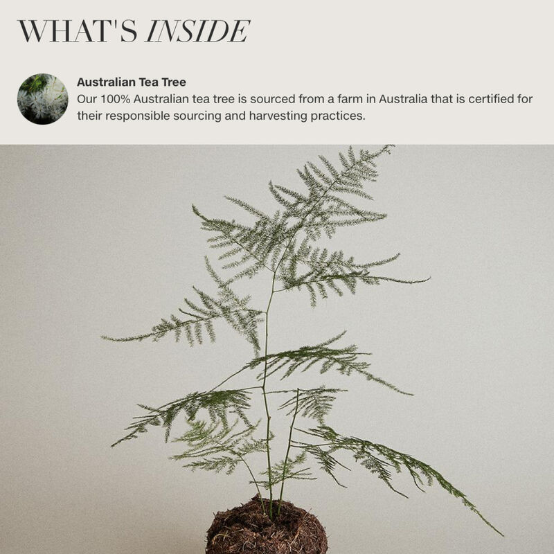 Paul Mitchell Tea Tree Essential Oil image number 2
