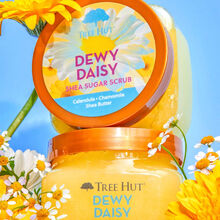 Tree Hut Shea Sugar Scrub Dewy Daisy