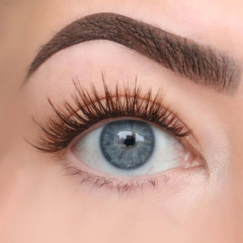 FlutterHabit Brunette Bestie 6-Pack image number 1