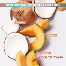 Kenra Volume Spray Coastal Breeze