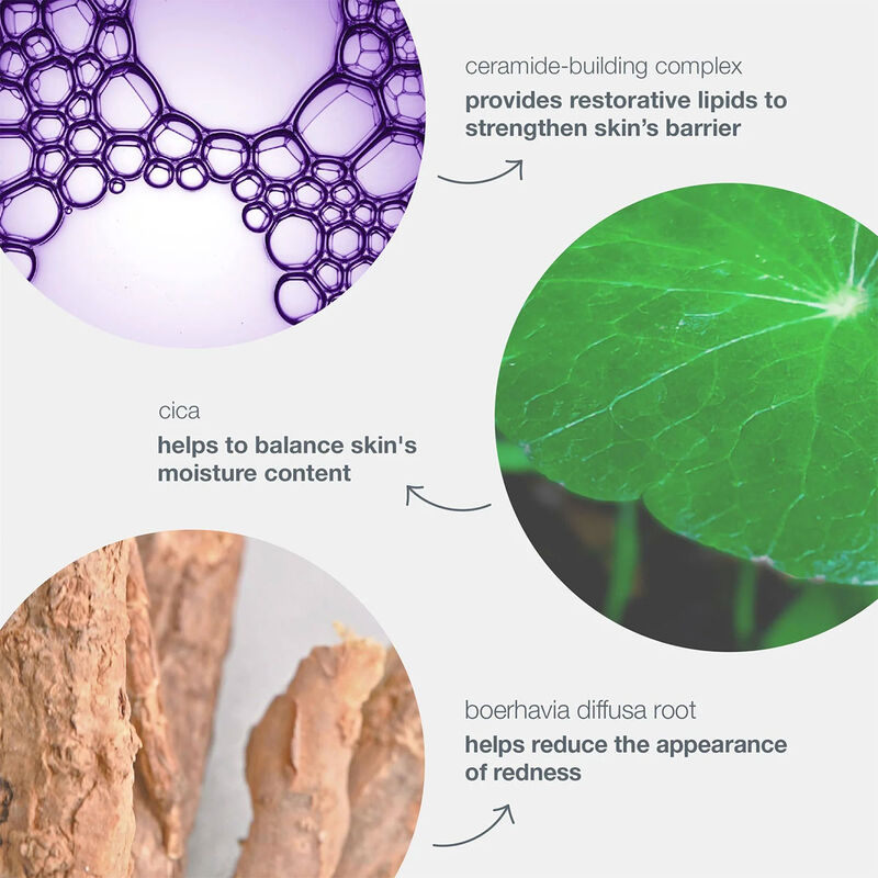 Dermalogica Stabilizing Repair Cream image number 2