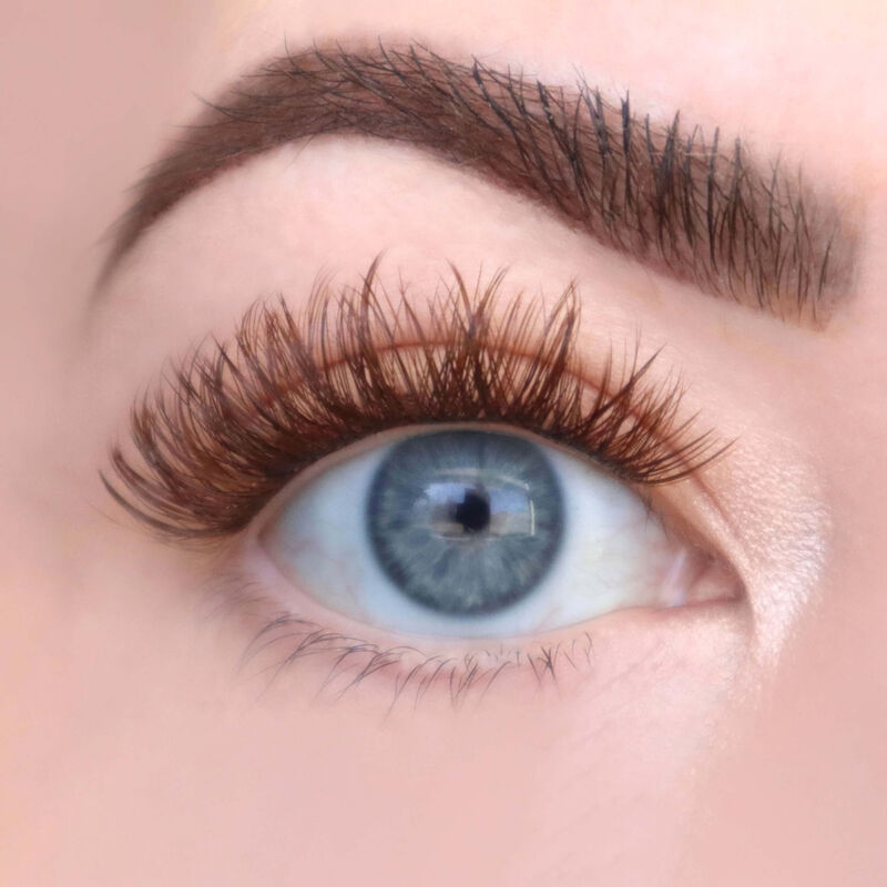 FlutterHabit Brunette Sweetheart 6-Pack image number 1
