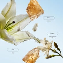 philosophy Pure Grace Luminous Body Oil