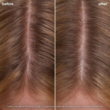 Biolage Scalp Sync Calming Shampoo
