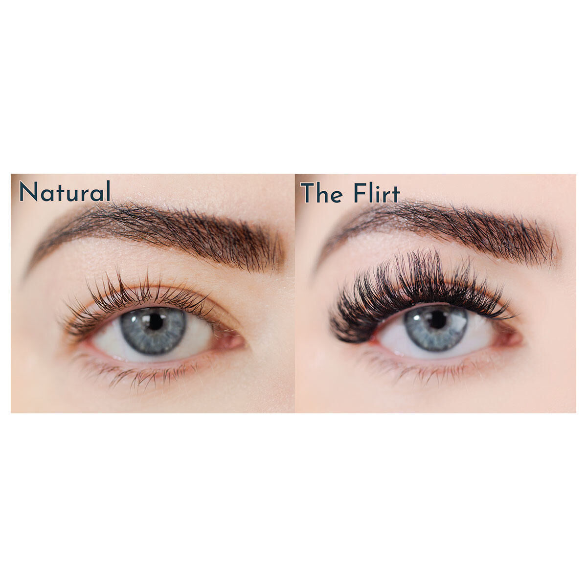 FlutterHabit The Flirt - Thumbnail 2