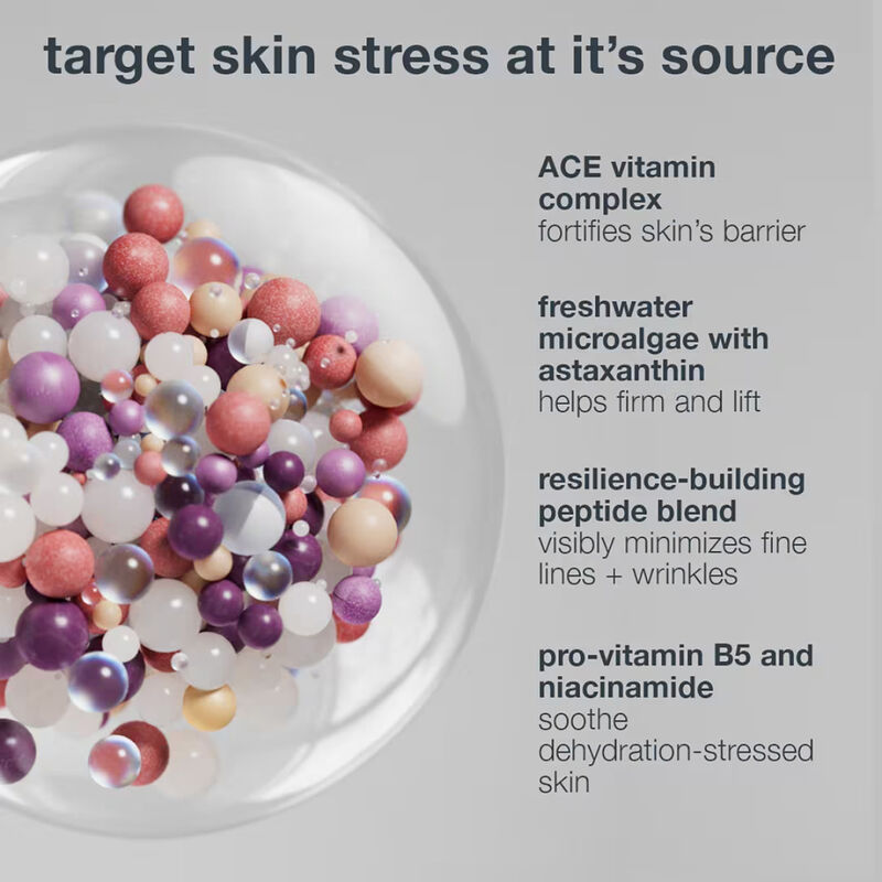 Dermalogica Multivitamin Power Recovery Cream image number 3