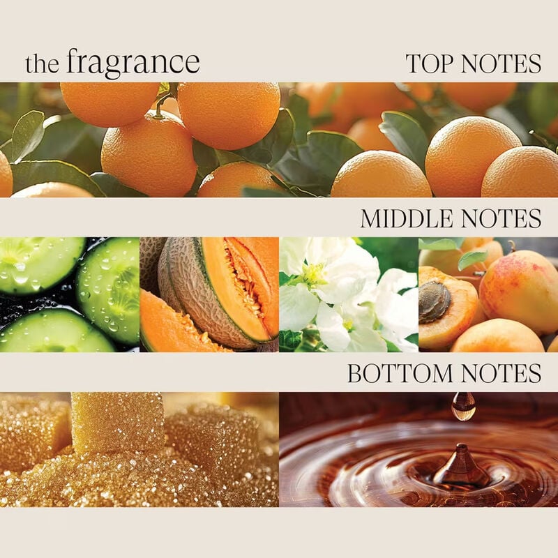 LANZA Healing Strength Neem Plant Detangling Primer image number 4