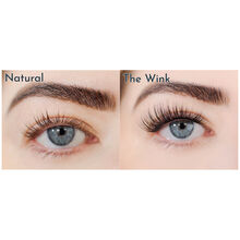 FlutterHabit The Wink 6-Pack