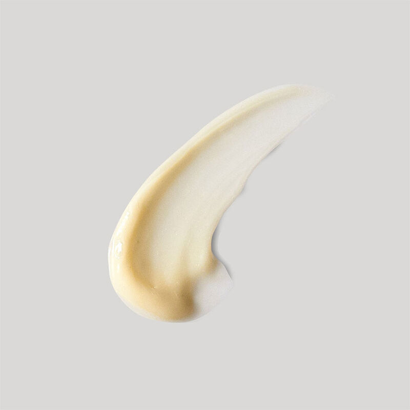 Dermalogica Melting Moisture Masque image number 4