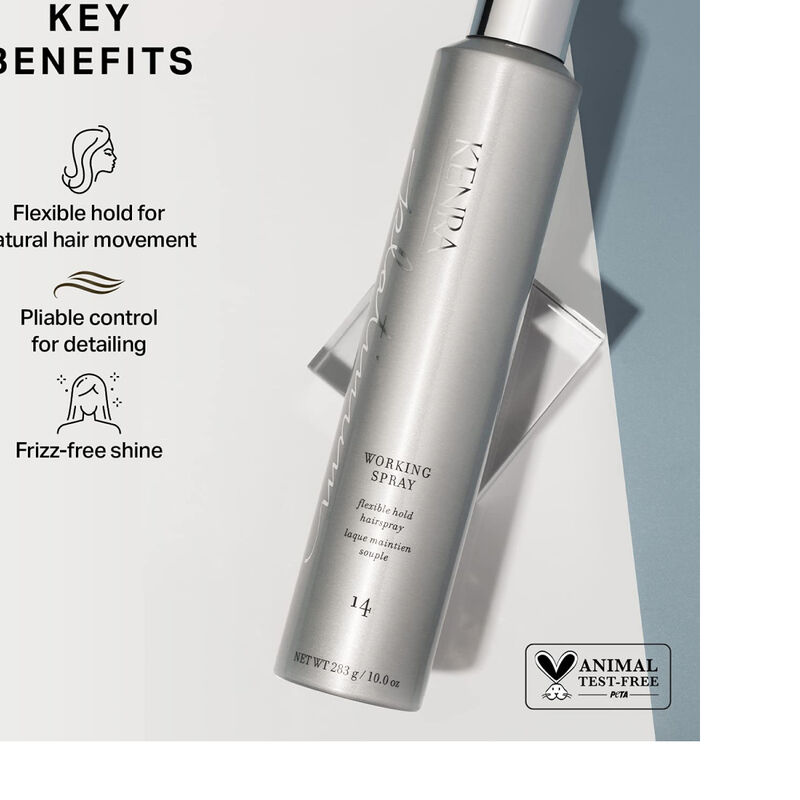 Kenra Platinum Working Spray 14 image number 2