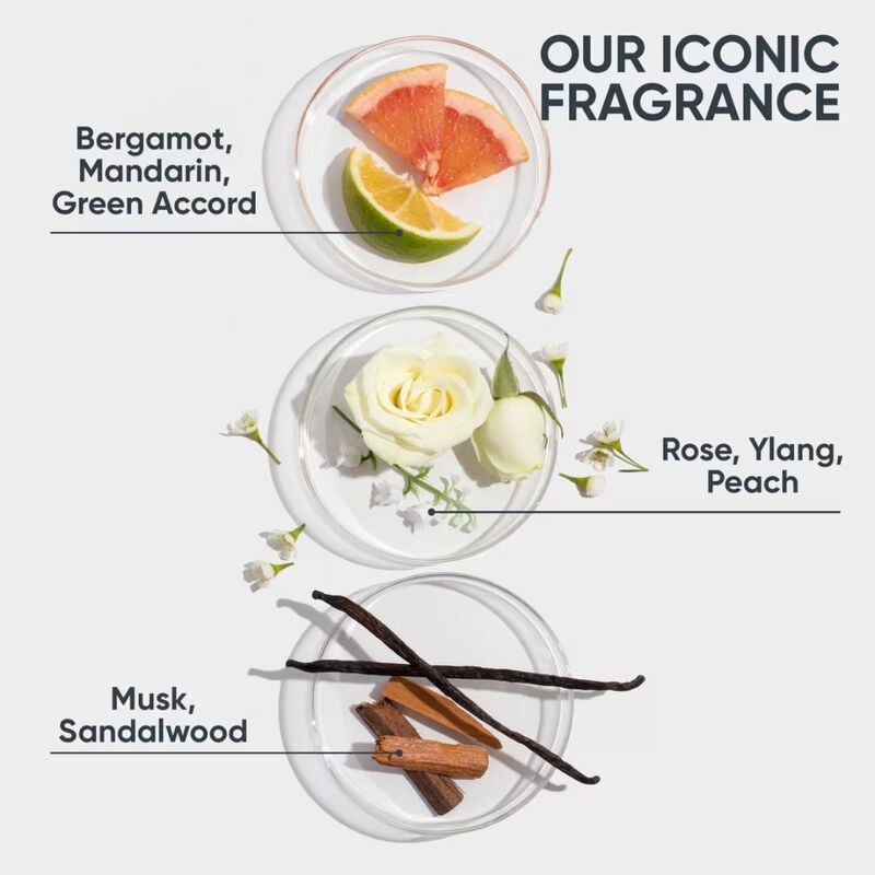 Biolage All-In-One Coconut Infusion Multi-Benefit Spray image number 3