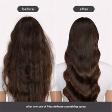 Verb Frizz Defense Smoothing Spray
