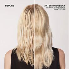 Redken Color Extend Blondage Shampoo Travel Size