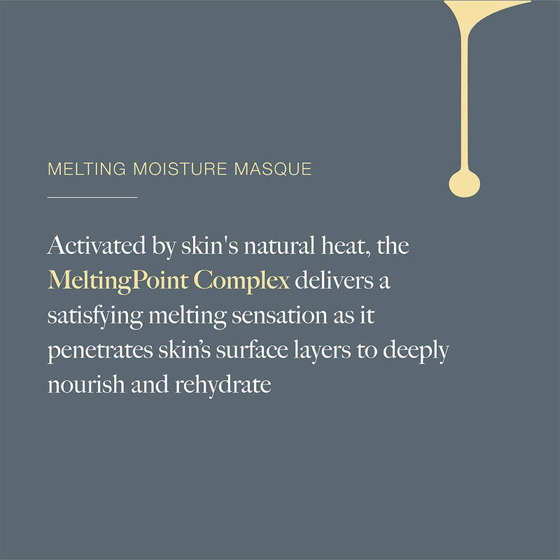 Dermalogica Melting Moisture Masque image number 1